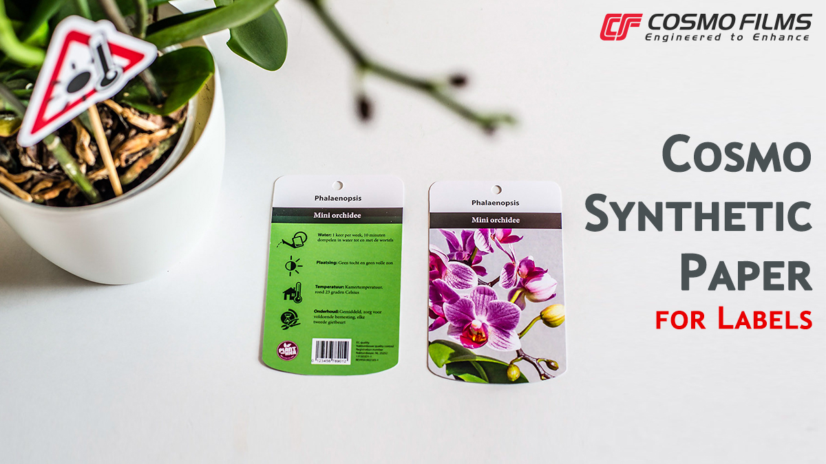 5 Gründe, warum Sie Cosmo Synthetic Paper für Etiketten und Anhänger verwenden sollten
